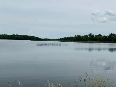 21631 Kandi-Swift Road NW, Norway Lake Twp, مينيسوتا 56289, الولايات المتحدة