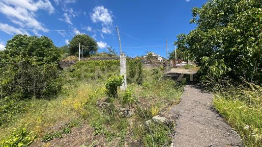 Zafferana Etnea, Sicilia 95019, Italia