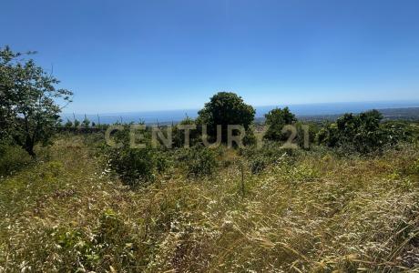 Zafferana Etnea, Sicilia 95019, Italia