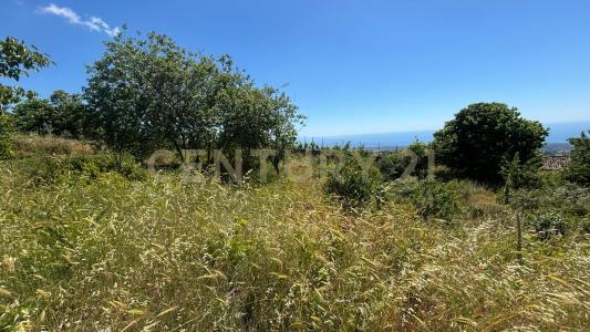 Zafferana Etnea, Sicilia 95019, Italia