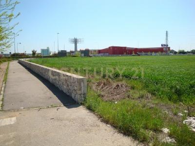 Via Vaghetto, Lavagno, Veneto 37030, Italy