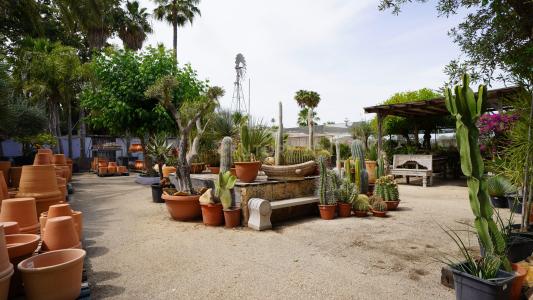 Alacant/Alicante, Comunitat Valenciana 03725, Spain