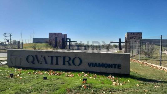 Viamonte 1100, Luján De Cuyo, Mendoza 5509, Argentina