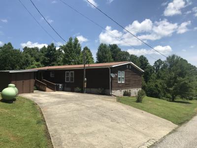 1650 Rattlesnake Fork, Olive Hill, Kentucky 41164, Estados Unidos