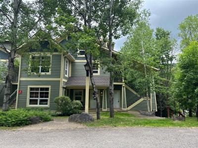 201  Ch. des Quatre-Sommets, Mont-Tremblant, Quebec J8E 1T0, Canada