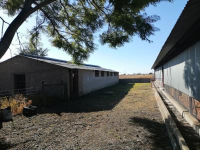 Bela Bela, Limpopo, South Africa