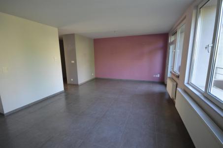 Rue de la Marcelle 156 1, Couvin, 5660, Belgio