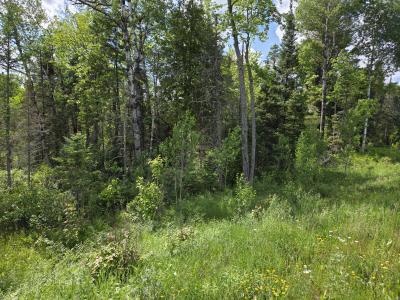 40 AC on Hwy 45 North, Watersmeet, Michigan 49969