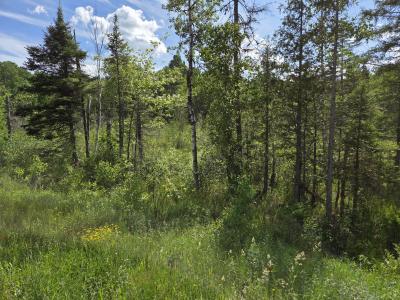 40 AC on Hwy 45 North, Watersmeet, 密歇根州 49969, 美国