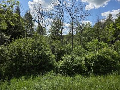 40 AC on Hwy 45 North, Watersmeet, 密歇根州 49969, 美国