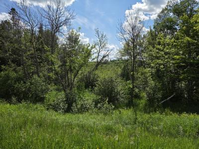 40 AC on Hwy 45 North, Watersmeet, 密歇根州 49969, 美国