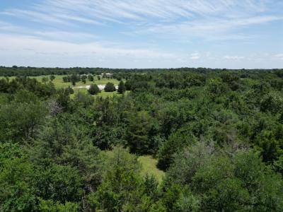 Lot 9 CR 4766, Sulphur Springs, Texas 75482, États-Unis