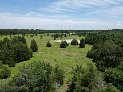 Lot 9 CR 4766, Sulphur Springs, Texas 75482, HOA KỲ
