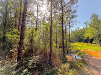 0 County Road 2650, Cleveland, Texas 77327, USA