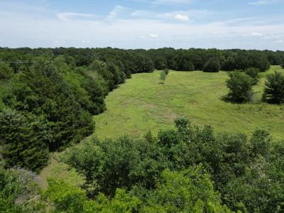 Lot 1 CR 4766, Sulphur Springs, Texas 75482, États-Unis