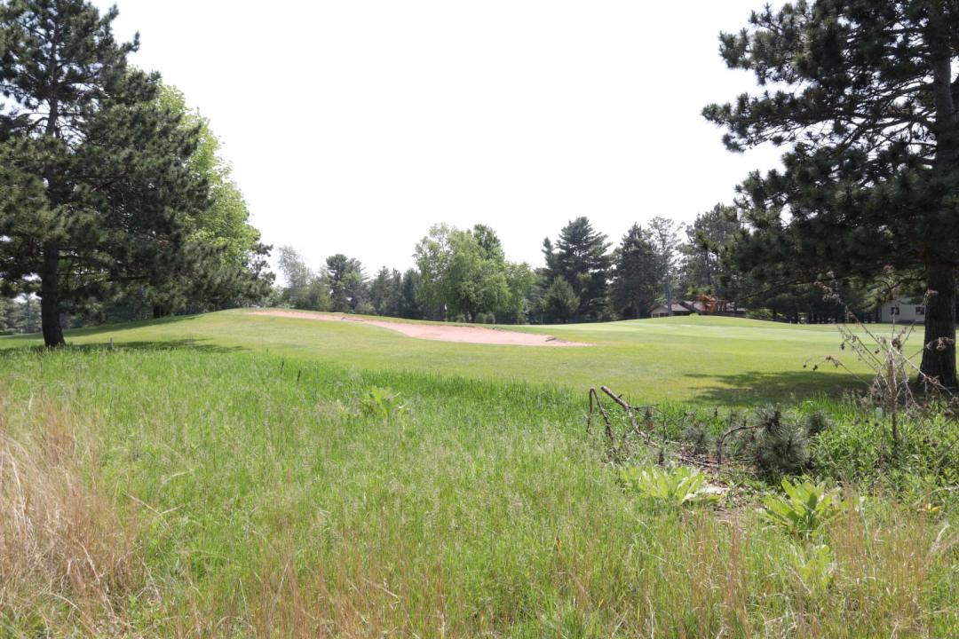 Lot 38 Meadow Green Rd, Danbury, Wisconsin 54830