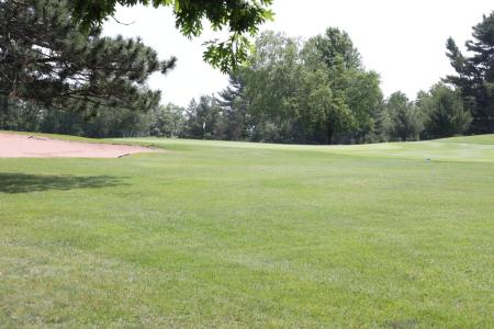 Lot 38 Meadow Green Rd, Danbury, Wisconsin 54830