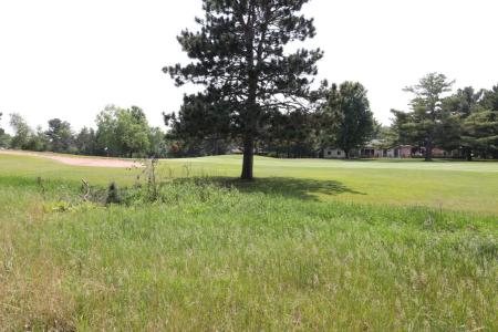 Lot 38 Meadow Green Rd, Danbury, Wisconsin 54830, USA