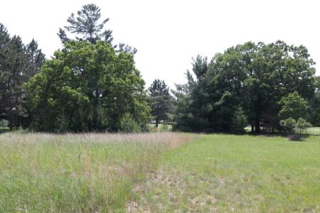 Lot 38 Meadow Green Rd, Danbury, Wisconsin 54830