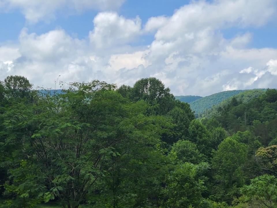 0000 Big Creek Road, Ellijay, Georgia 30536, USA