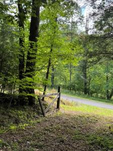 0000 Big Creek Road, Ellijay, Georgia 30536, USA