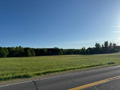 12828 Buchanan Rd., Stanwood, Michigan 49346