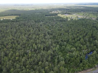 TBD Sandy Dr., Dequincy, Louisiana 70633