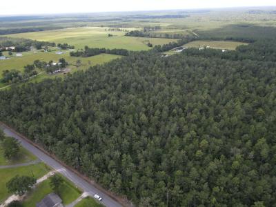 TBD Sandy Dr., Dequincy, Louisiana 70633