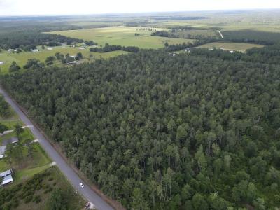 TBD Sandy Dr., Dequincy, Louisiana 70633
