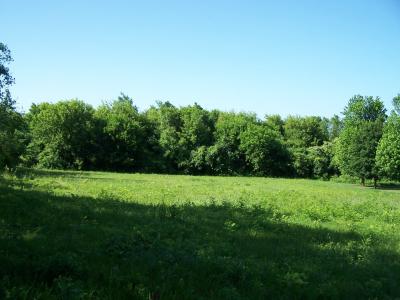 6109 Whiting Drive, Mchenry, Illinois 60050, USA