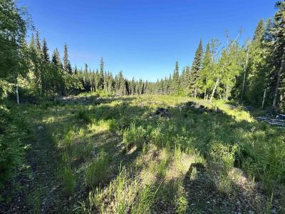 NHN TERRACE DRIVE, Fairbanks, Alaska 99712, USA