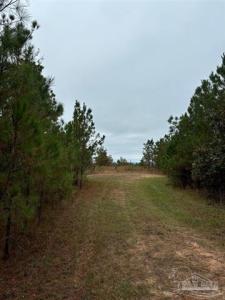 000 Apple Grove Rd, Vredenburgh, Alabama 36481