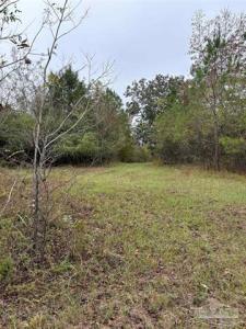000 Apple Grove Rd, Vredenburgh, Alabama 36481, USA