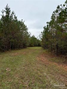 000 Apple Grove Rd, Vredenburgh, Alabama 36481