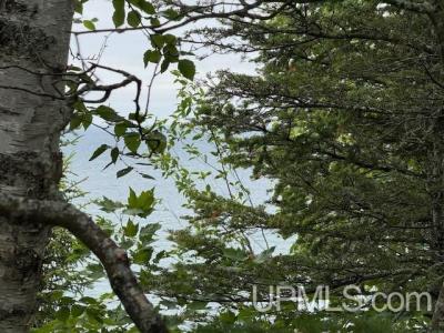 TBD Five Mile Pt, Allouez, Michigan 49950, USA