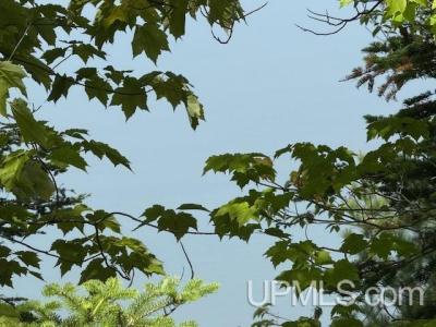 TBD Five Mile Pt, Allouez, Michigan 49950