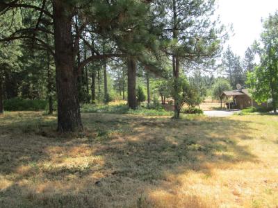 17778 Lower Colfax Road, Grass Valley, California 95945
