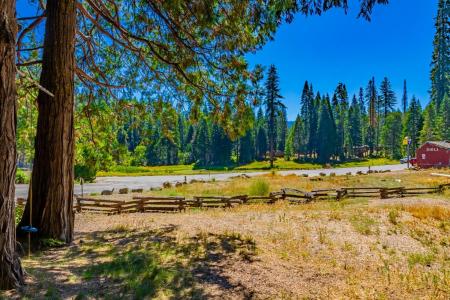 1190 Silvertip, Fish Camp, California 93623, Estados Unidos