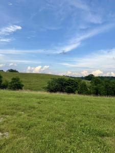 159 Westwoods Dr, Georgetown, Kentucky 40324, USA