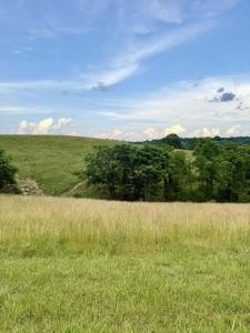 159 Westwoods Dr, Georgetown, Kentucky 40324
