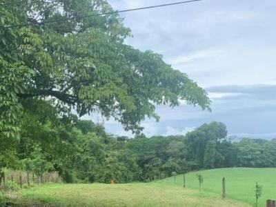 Ceiba Orotina, Alajuela 20905, Costa Rica
