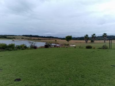 East London, Eastern Cape, Güney Afrika