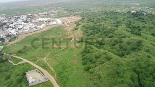 Las Estepas, Ballenita s/n, Santa Elena, Santa Elena 00001, Equador