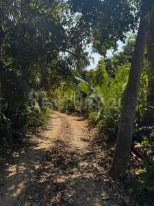 Punta Negra 1B,, Puerto Vallarta, Jalisco 48390, México