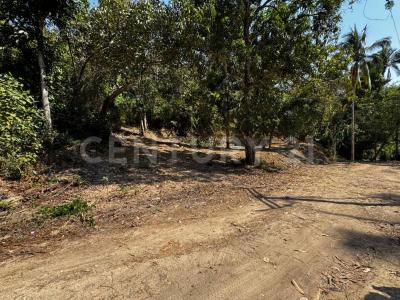 Punta Negra 1B,, Puerto Vallarta, Jalisco 48390, México