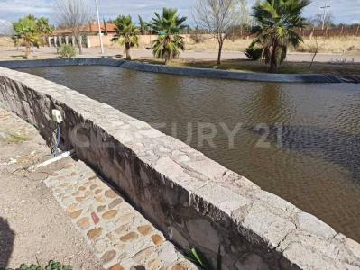Álamo S/N L-12 M-8, Fracc. Campestre Quintas Los Sauces,, Durango, Durango 34310, Meksika