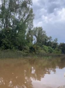 Canal Gobernador Arana S/N, San Fernando, GBA Norte 1647, Argentina