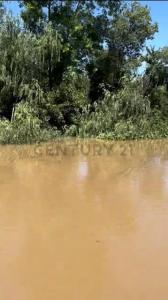 Canal Gobernador Arana S/N, San Fernando, GBA Norte 1647, Argentina
