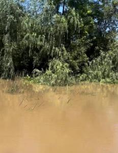 Canal Gobernador Arana S/N, San Fernando, GBA Norte 1647, Argentina
