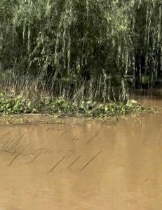 Canal Gobernador Arana S/N, San Fernando, GBA Norte 1647, Argentina